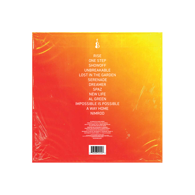 Take The Stairs Vinyl